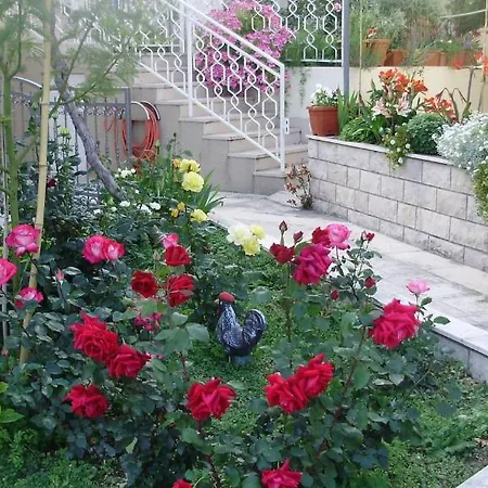 Adria Гостевой дом