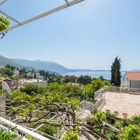 게스트하우스 Adria 믈리니