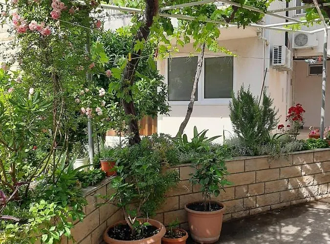 Adria Guest house 3*