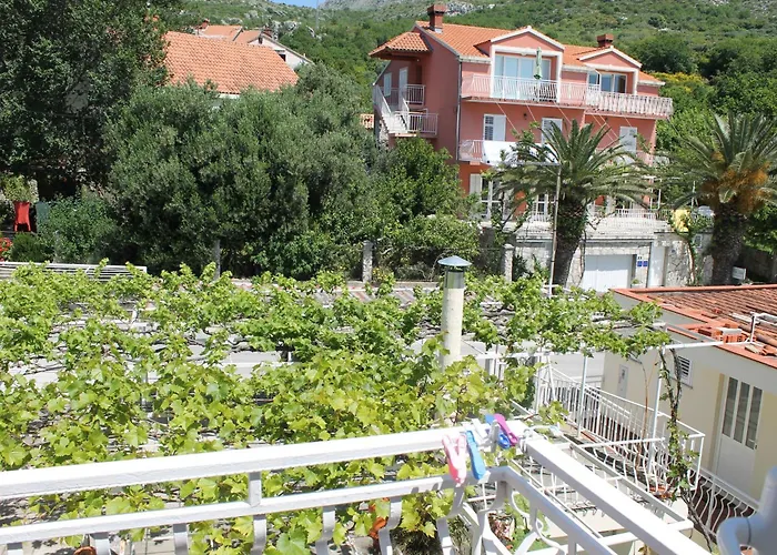 Adria Guest house 3*